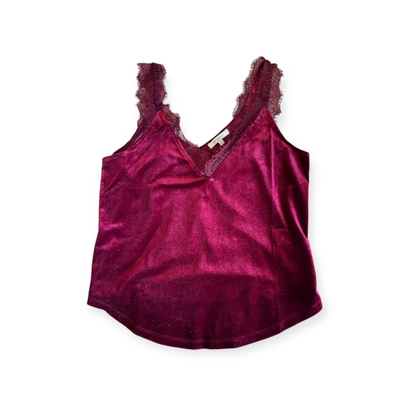Velvet and Lace tank - Picture 3 of 3